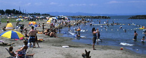 八重津浜海水浴場